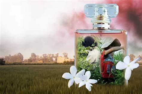 jasmine dior bbc|Luxury perfumes linked to child labour, BBC finds.